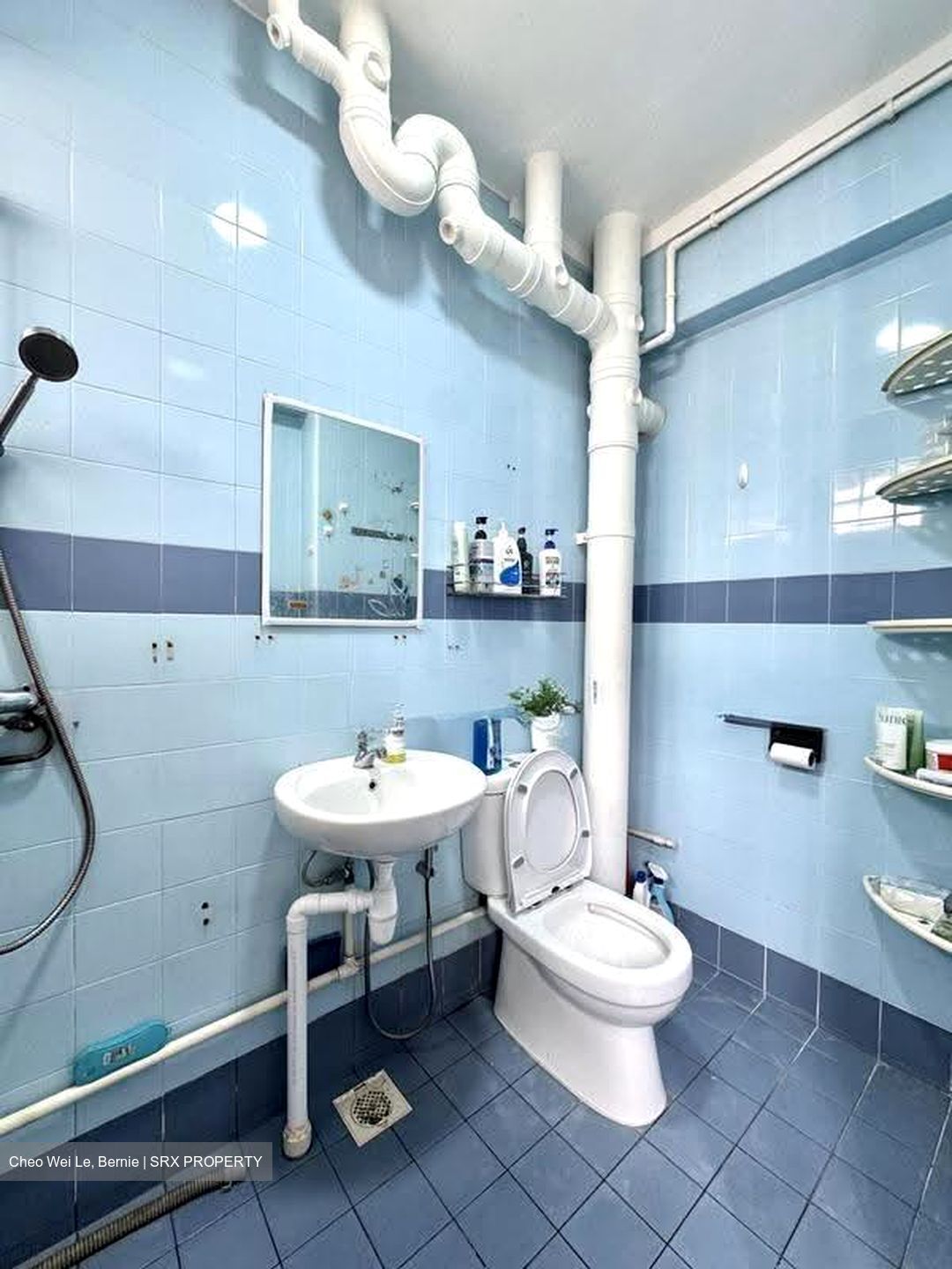 Blk 270 Bishan Street 24 (Bishan), HDB 5 Rooms #615994071